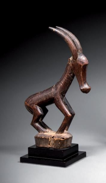 null Cimier ciwara Bamana, Mali
H. 30,5 cm - L. 19 cm
Ce cimier représente une antilope...