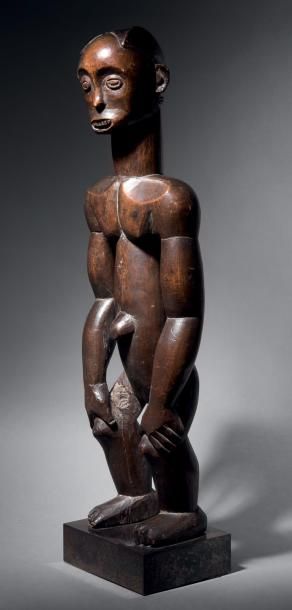 null Statue Fang/Mabea, Cameroun
Bois dur à patine brune
H. 65,5 cm
Fang/Mabea figure,...