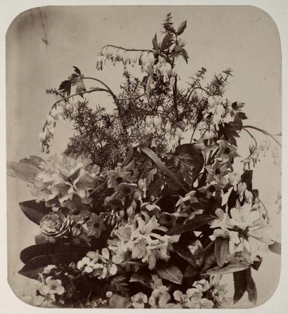 Adolphe Braun 
Composition de fleurs coupées, 1855
Belle épreuve sur papier albuminé...