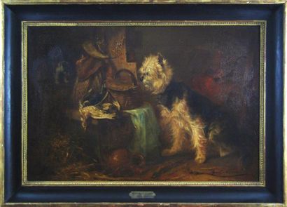 Zacharie NOTERMAN (1808-1890) Chat et chien dans l'arriere-cuisine
Huile sur toile
50...