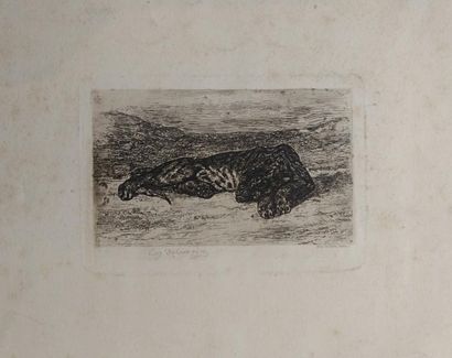 Eugène DELACROIX (1798 - 1863) 
Tigre couché dans le désert. 1846. Eau-forte. 137...