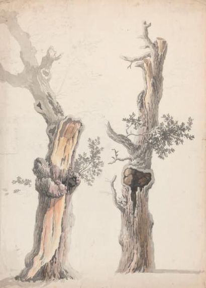 Attribué à Brun de VERSOIX (Rolle 1758 - Paris 1815) 
Étude de troncs d'arbre
Aquarelle...
