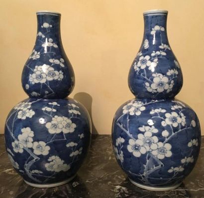 null Paire de vases double gourdes en porcelaine de la Chine à décor bleu blanc de...