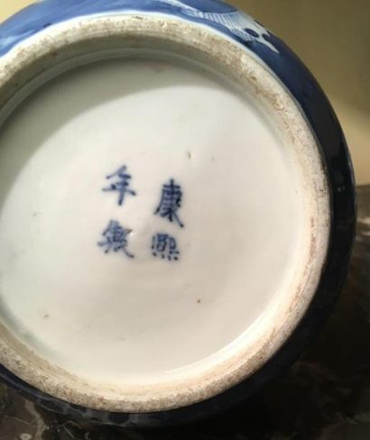 null Paire de vases double gourdes en porcelaine de la Chine à décor bleu blanc de...