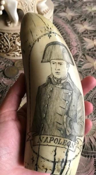 null Scrimshaw en résine gravée. Portrait de l'Empereur Napoléon 1er.