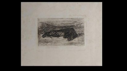 EUGENE DELACROIX (1798 - 1863) 

Tigre couché...