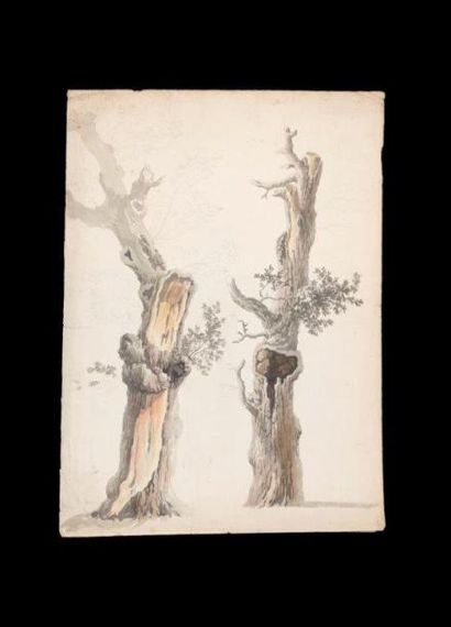 null ATTRIBUE A BRUN DE VERSOIX (ROLLE 1758 - PARIS 1815) 

Étude de troncs d arbre...