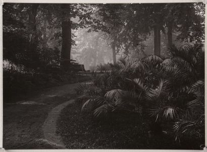 null Le Jardin Royal en clair obscur (Royal Garden, chiaroscuro), 1942
Épreuve argentique...