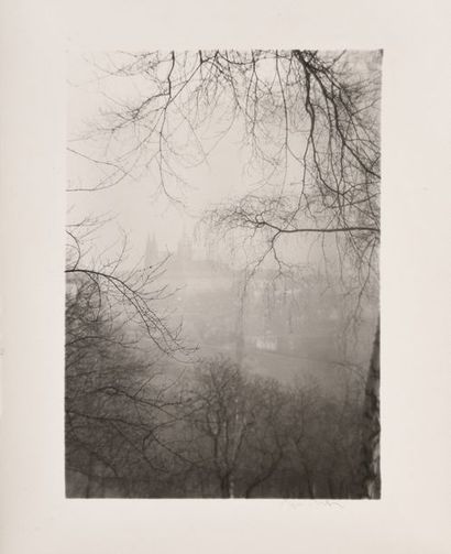 null Le château à travers les branches et la brume (The Castle through branches and...