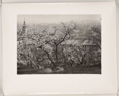 null Vue des toits de Prague, à travers les pommiers en fleurs (Prague rooftops through...