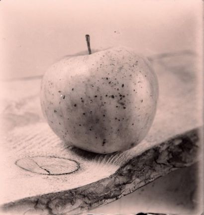 null Composition à la pomme (Still life with apple), 1950-1959
Épreuve argentique...