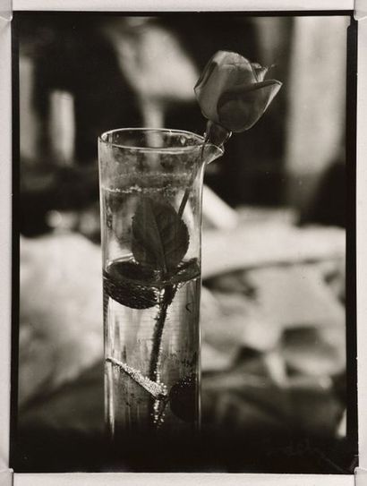 null Composition: Rose dans un verre gradué (Rose in beaker), 1950-1954
Tirage argentique...