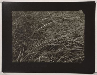 null Rosée du matin sur l'herbe (Grass and morning Dew), 1946
Épreuve argentique...