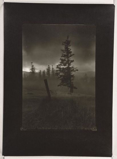 null Sapins dans les montagnes des Beskides (Pine trees in Beskyd mountains), 1952-1963
Épreuve...