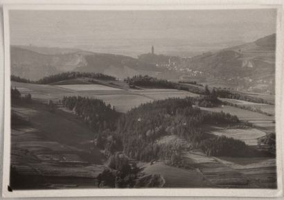 null Envois de Prague, 1952: Paysages et études d'arbres foudroyés, Mionsi (Landscapes...
