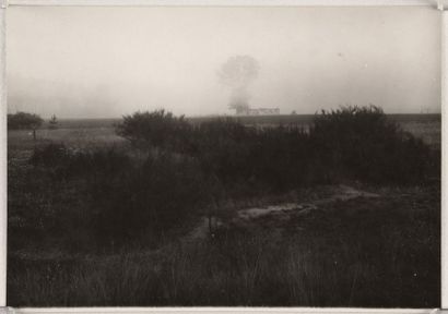 Arbre dans la brume (Tree in fog), 1962
Tirage...