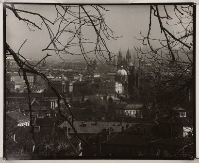 null Vue des toits de Prague à travers les branchages (View of Prague rooftops through...