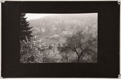 null Vue sur Hradcany depuis Petrin, vue sur Kampa et arbres au Petrin (View of Hradcany...