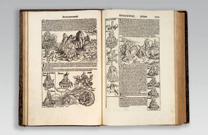 SCHEDEL (Hartmann) Registrum hujus operis libri cronicorum cum figuris et ymaginibus...
