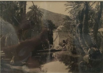 null 28 photographies - A. Cavilla – V. Hell & Cie – Photo Félix – Belin et divers

Maroc,...