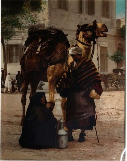 null 34 photographies - Photochrom Zürich

Égypte, c. 1890-1900.

Les tombeaux des...