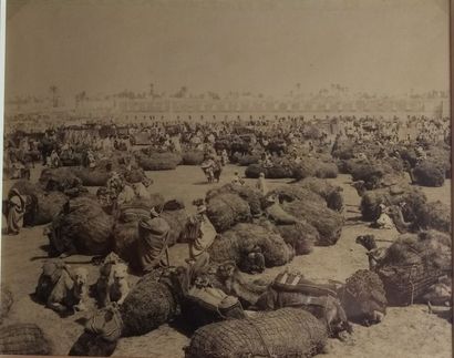 null 10 photographies - S. L. Cafsar et photographe non identifié

Libye, c. 1870-1890.

Tripoli....