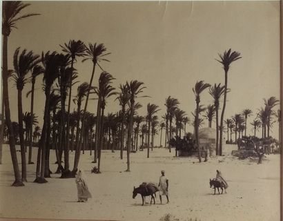 null 10 photographies - S. L. Cafsar et photographe non identifié

Libye, c. 1870-1890.

Tripoli....