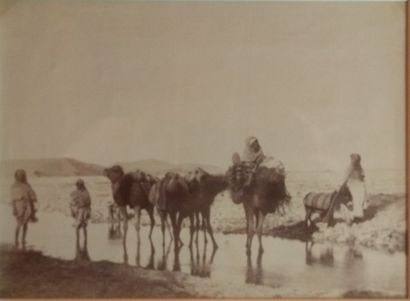 null 43 photographies - Photographe non identifié

Afrique du nord, c. 1870-1890.

Arabe...