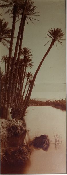 5 photographies - A. Bougault (1851-1911)
Algérie,...