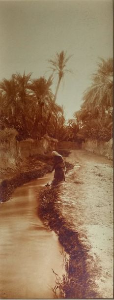 null 5 photographies - A. Bougault (1851-1911)
Algérie, c. 1910.
Palmeraie, femme...