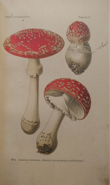 DUFOUR (Léon) Atlas des champignons comestibles et vénéneux. Paris, Paul Klincksieck,...