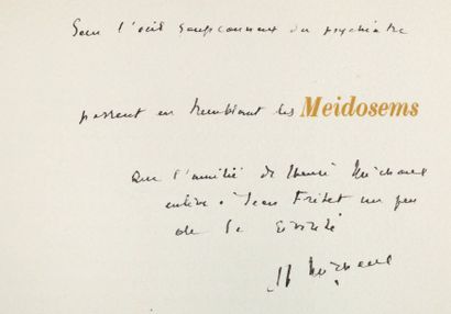 MICHAUX Henri Meidosems. Paris, Éditions du Point du Jour 1948. In-4, en feuilles,...