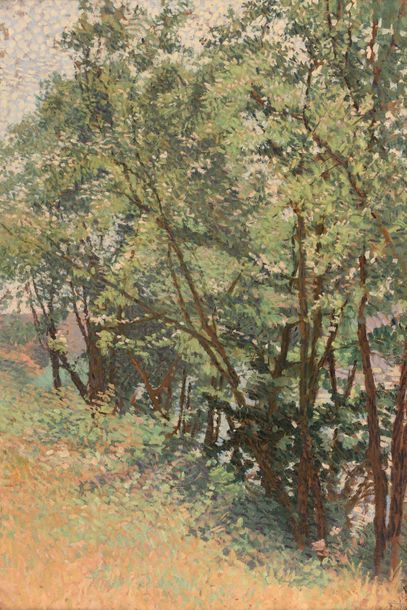 Louis HAYET (1864-1940) Paysage de campagne à Mantes, 1898
Huile sur carton marouflé...