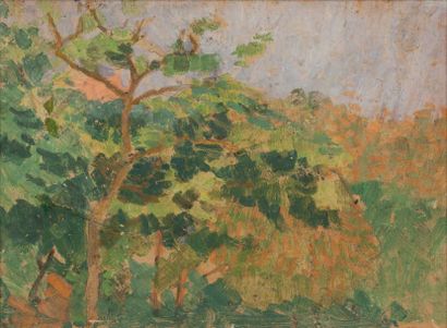 LOUIS HAYET (1864-1940) (ATTRIBUÉ À) Paysage automnal
Huile sur papier marouflé sur...