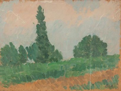 Louis HAYET (1864-1940) Paysage 1895-1898
Huile sur carton
Portant le cachet d'atelier...