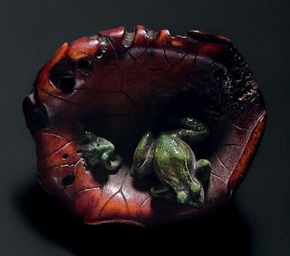 JAPON - Milieu Epoque EDO (1603-1868) Netsuke en corne de cerf teinté, deux grenouilles...