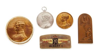 Médailles et plaques commémoratives Set of 6 medals including 3 in bronze and various...
