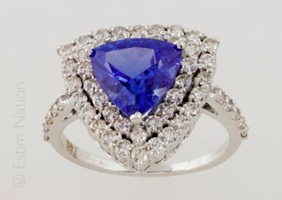 BAGUE TANZANITE DIAMANTS Ring in 18K (750/°°) white gold centered on a troïda cut...