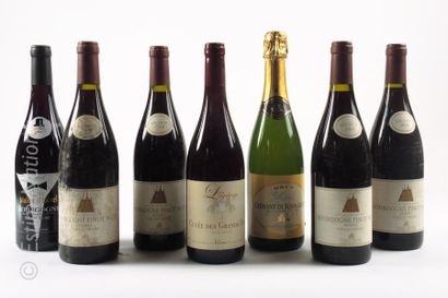 BOURGOGNE 14 bouteilles : 6 BOURGOGNE 2004 Réserve "vieilles vignes" Pierre André,...