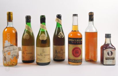 Spiritueux 14 bouteilles ENSEMBLE D'EAU DE VIE DONT : 2 KIRSCH Fantaisie, 1 VIEUX...