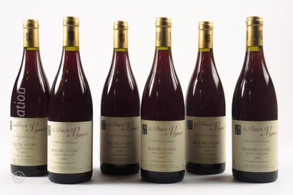 BOURGOGNE 6 bouteilles BEAUNE 2000 1er cru "les Boucherottes" Les Ducs de Vignot