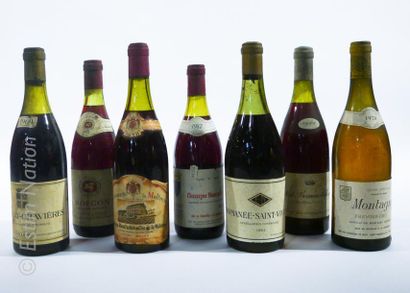 BOURGOGNE 7 bouteilles : 1 CHASSAGNE MONTRACHET 1982 Les Compagnons des Muids du...