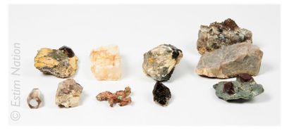 COLLECTION DE MINERAUX Collection de minéraux (10 pièces) dont : quartz fumé (Bretagne),...