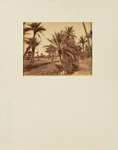 ANONYME - ALGERIE Oasis de Biskra, circa 1880
Epreuve sur papier albuminé contrecollée...