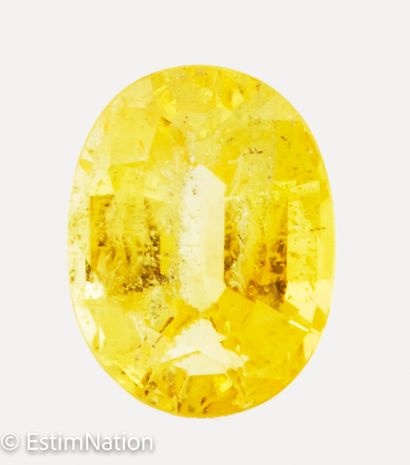 SAPHIR JAUNE 1.83 CARAT 
Saphir jaune ovale facetté pesant 1.83 carat environ. 




Dimensions...