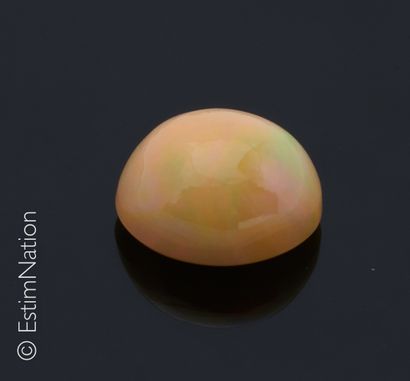 OPALE 1.90 CARAT 
Opale cabochon ovale pesant environ 1.90 carat. Origine Ethiopie.




Dimensions...