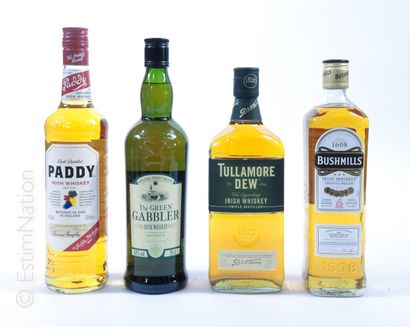 Whisky 
WHISKY





4 bouteilles : 1 WHISKY PADDY Irish whiskey, 1 WHISKY THE GREEN...