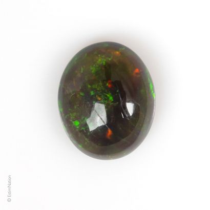 OPALE 1.67 CARAT Opale dite "arlequin" ou "black opal" en cabochon ovale pesant environ...