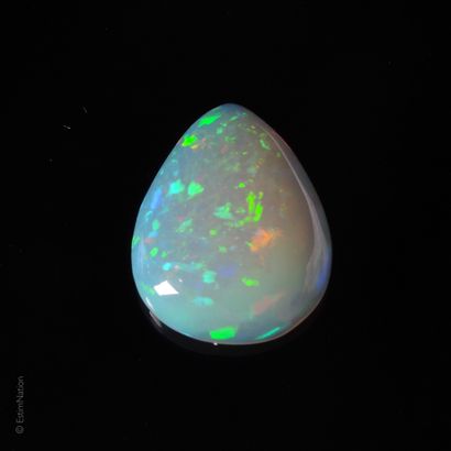 OPALE 6.22 CARAT Opale en cabochon poire pesant environ 6.22 carat. 

Dimensions...