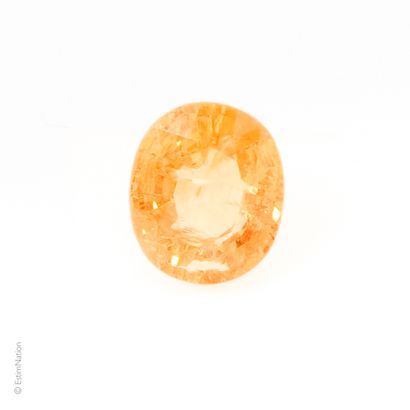 GRENAT 1.71 CARAT Grenat spessartite taille ovale facetté pesant environ 1,71 carat....